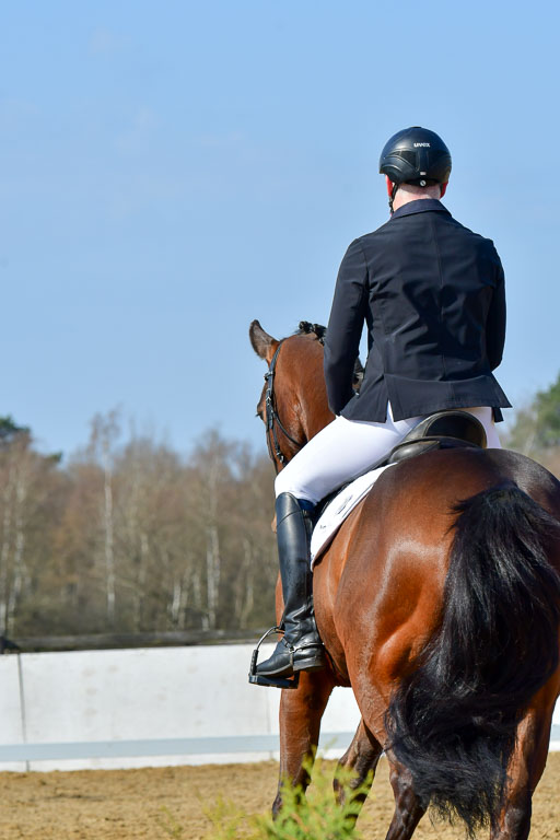 Reitsportzentrum Bremervörde | 10421 Dressur L Tr_303 