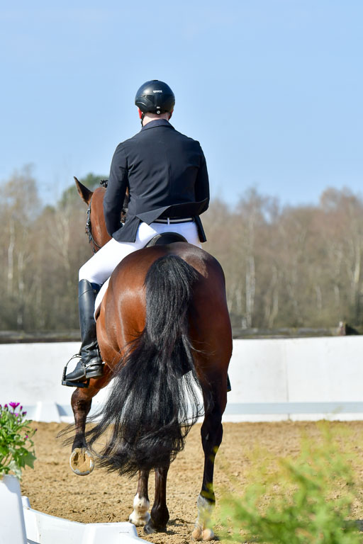 Reitsportzentrum Bremervörde | 10421 Dressur L Tr_304 