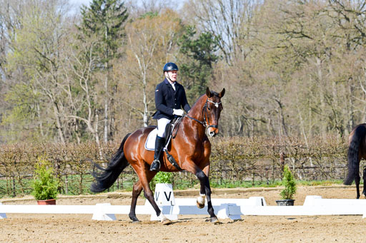 Reitsportzentrum Bremervörde | 10421 Dressur L Tr_305 