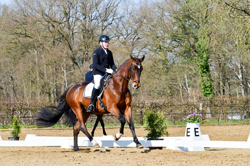 Reitsportzentrum Bremervörde | 10421 Dressur L Tr_306 