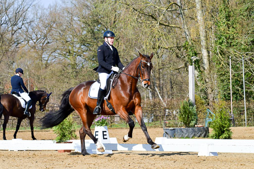 Reitsportzentrum Bremervörde | 10421 Dressur L Tr_307 
