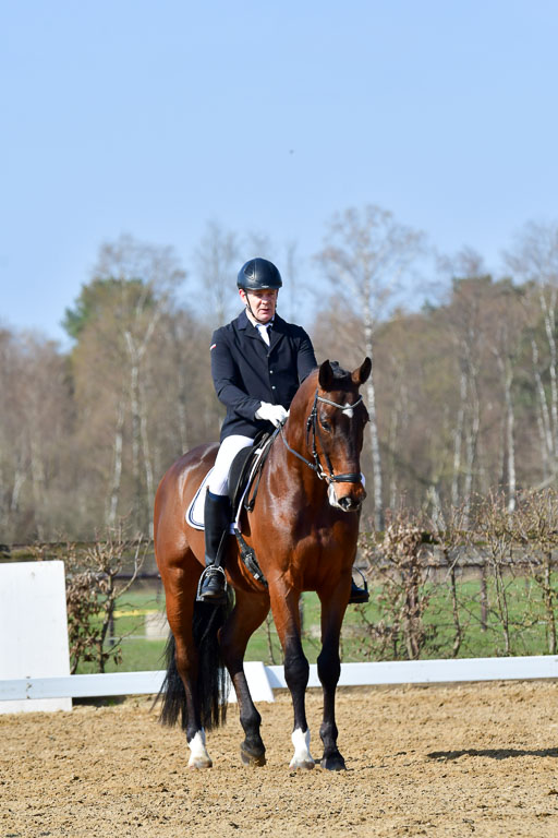 Reitsportzentrum Bremervörde | 10421 Dressur L Tr_310 