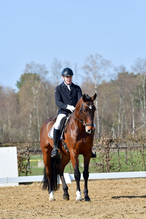 Reitsportzentrum Bremervörde | 10421 Dressur L Tr_311 