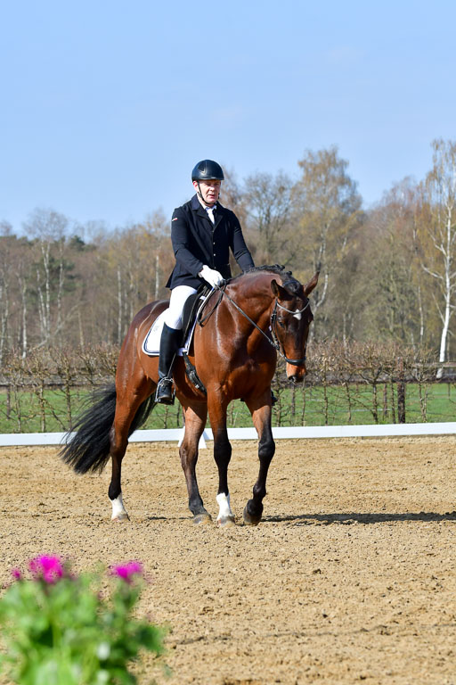 Reitsportzentrum Bremervörde | 10421 Dressur L Tr_312 