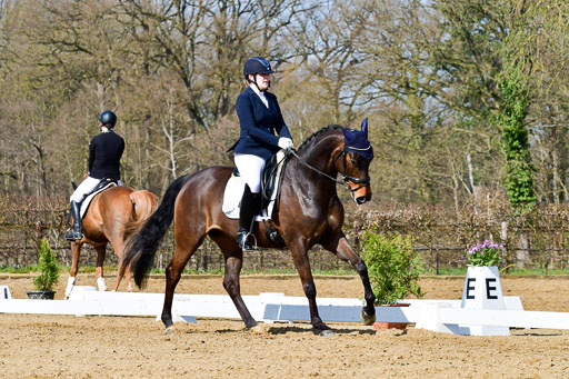 Reitsportzentrum Bremervörde | 10421 Dressur L Tr_316 