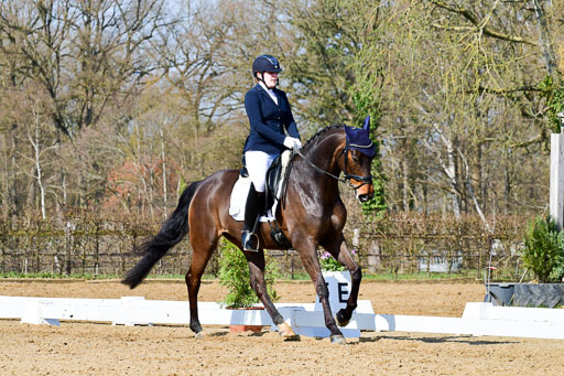 Reitsportzentrum Bremervörde | 10421 Dressur L Tr_317 