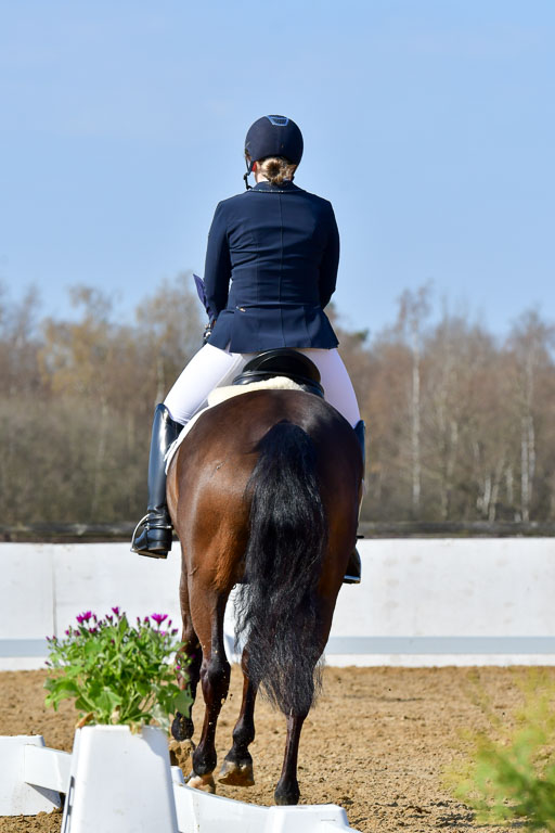 Reitsportzentrum Bremervörde | 10421 Dressur L Tr_318 