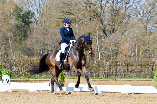 Reitsportzentrum Bremervörde | 10421 Dressur L Tr_319 