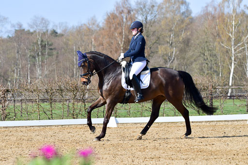 Reitsportzentrum Bremervörde | 10421 Dressur L Tr_323 