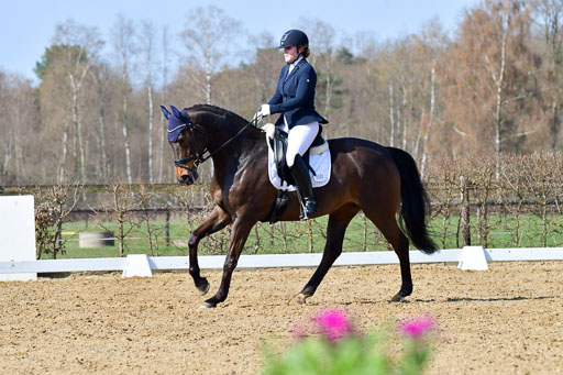 Reitsportzentrum Bremervörde | 10421 Dressur L Tr_324 