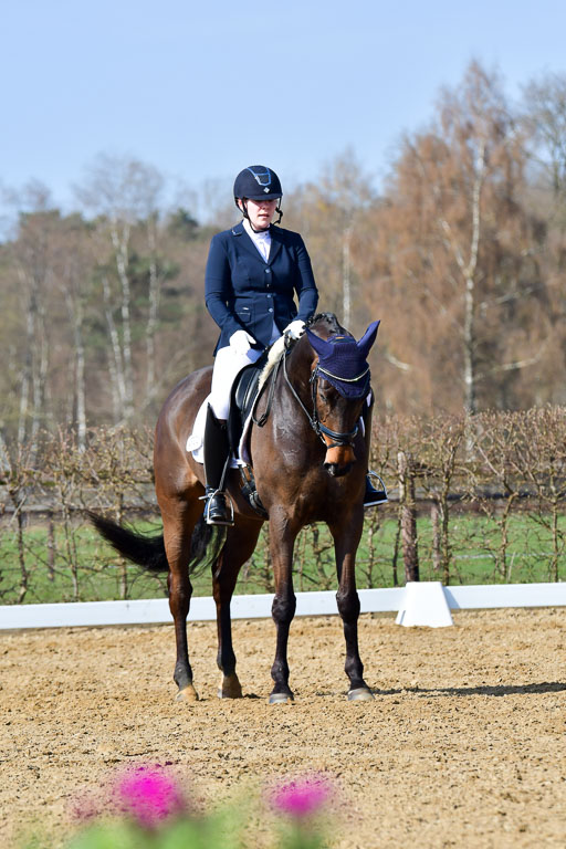 Reitsportzentrum Bremervörde | 10421 Dressur L Tr_328 