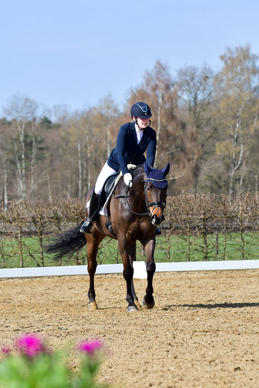 Reitsportzentrum Bremervörde | 10421 Dressur L Tr_329 