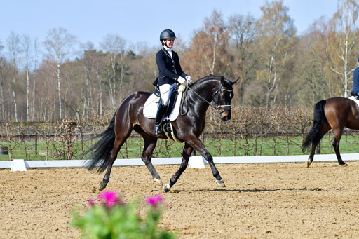 Reitsportzentrum Bremervörde | 10421 Dressur L Tr_332 