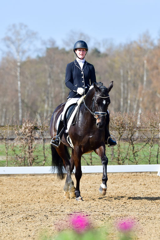 Reitsportzentrum Bremervörde | 10421 Dressur L Tr_333 