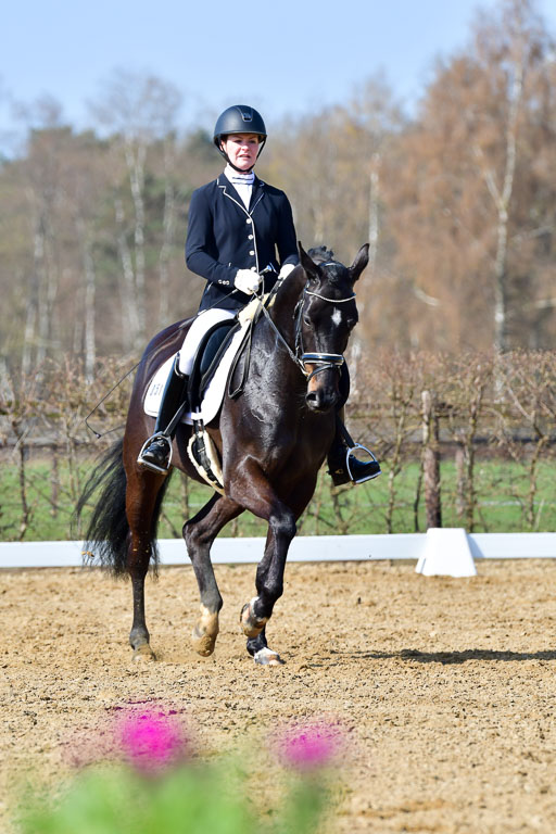 Reitsportzentrum Bremervörde | 10421 Dressur L Tr_334 