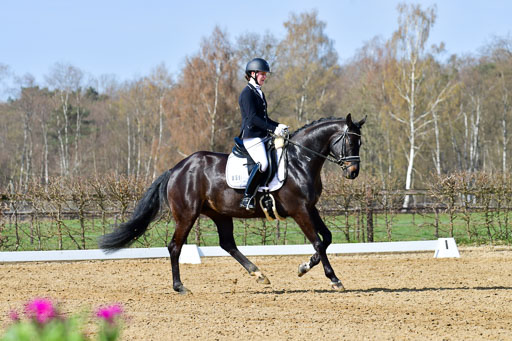 Reitsportzentrum Bremervörde | 10421 Dressur L Tr_337 