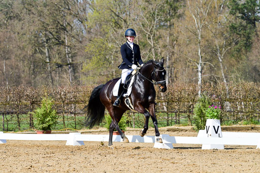 Reitsportzentrum Bremervörde | 10421 Dressur L Tr_338 