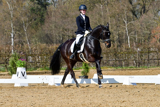 Reitsportzentrum Bremervörde | 10421 Dressur L Tr_340 