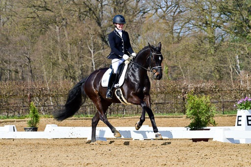 Reitsportzentrum Bremervörde | 10421 Dressur L Tr_341 