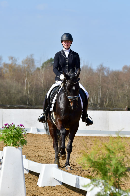 Reitsportzentrum Bremervörde | 10421 Dressur L Tr_346 