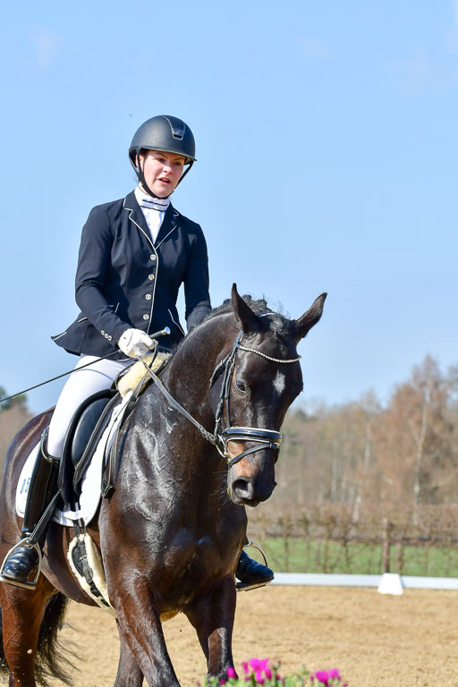 Reitsportzentrum Bremervörde | 10421 Dressur L Tr_347 