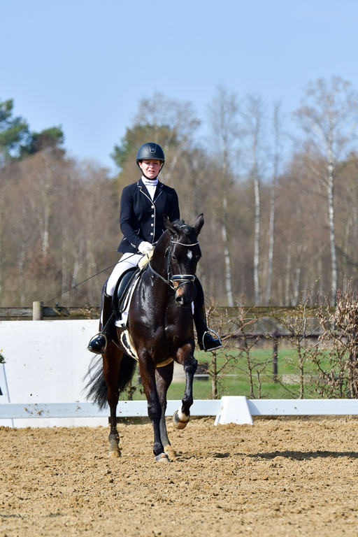 Reitsportzentrum Bremervörde | 10421 Dressur L Tr_349 