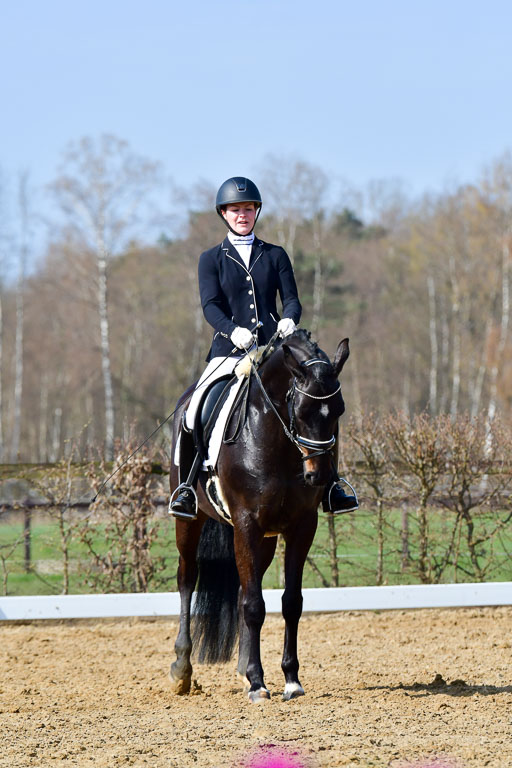 Reitsportzentrum Bremervörde | 10421 Dressur L Tr_350 