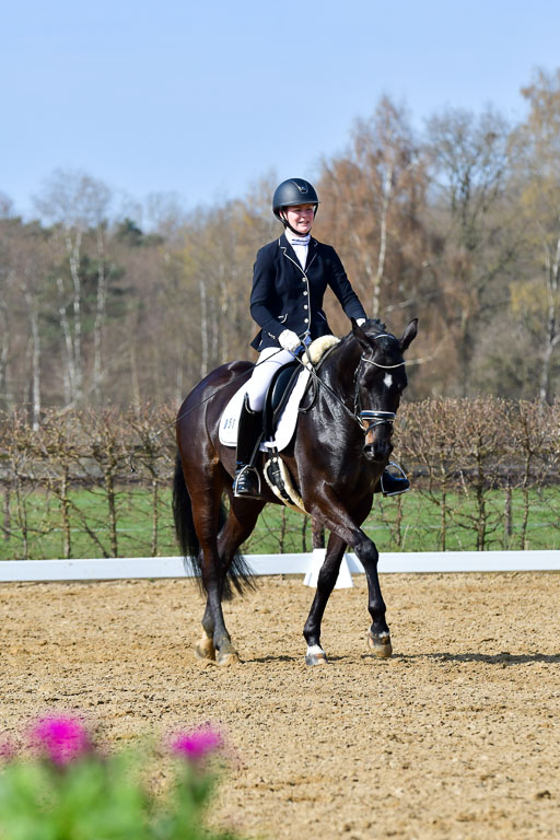 Reitsportzentrum Bremervörde | 10421 Dressur L Tr_351 