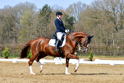 Reitsportzentrum Bremervörde | 10421 Dressur L Tr_356 