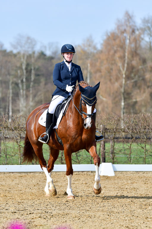 Reitsportzentrum Bremervörde | 10421 Dressur L Tr_357 