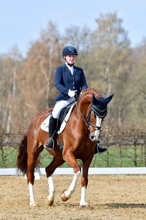 Reitsportzentrum Bremervörde | 10421 Dressur L Tr_358 