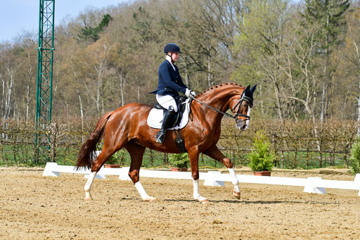 Reitsportzentrum Bremervörde | 10421 Dressur L Tr_359 