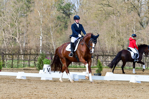 Reitsportzentrum Bremervörde | 10421 Dressur L Tr_364 