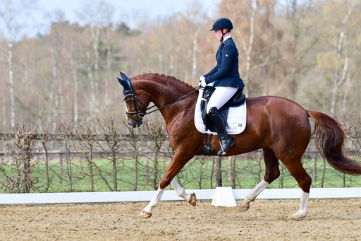 Reitsportzentrum Bremervörde | 10421 Dressur L Tr_365 