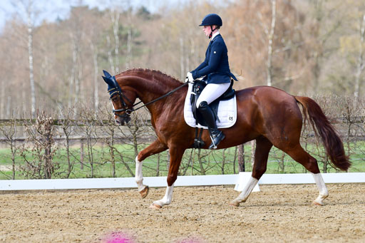 Reitsportzentrum Bremervörde | 10421 Dressur L Tr_366 