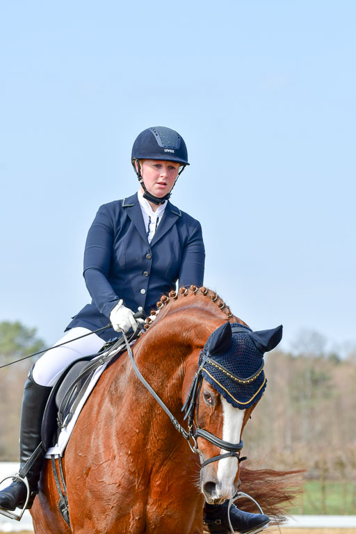 Reitsportzentrum Bremervörde | 10421 Dressur L Tr_368 