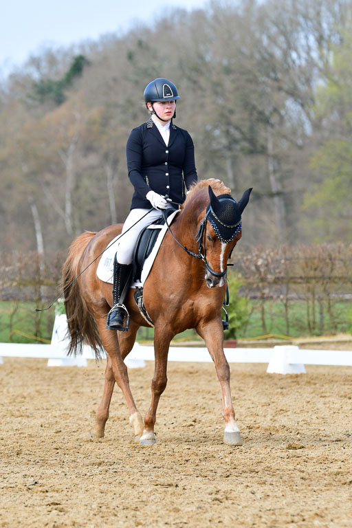 Reitsportzentrum Bremervörde | 10421 Dressur L Tr_371 