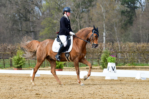 Reitsportzentrum Bremervörde | 10421 Dressur L Tr_373 