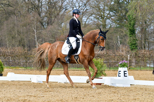 Reitsportzentrum Bremervörde | 10421 Dressur L Tr_375 