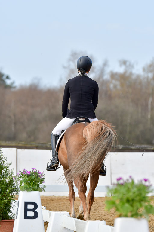 Reitsportzentrum Bremervörde | 10421 Dressur L Tr_376 