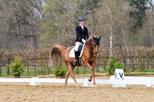 Reitsportzentrum Bremervörde | 10421 Dressur L Tr_377 