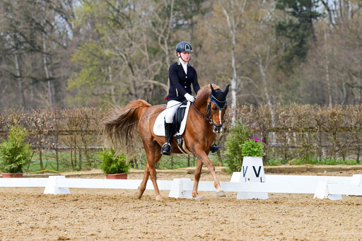 Reitsportzentrum Bremervörde | 10421 Dressur L Tr_378 