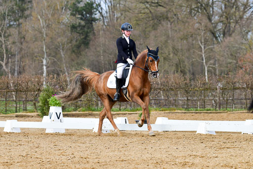 Reitsportzentrum Bremervörde | 10421 Dressur L Tr_379 