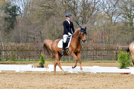 Reitsportzentrum Bremervörde | 10421 Dressur L Tr_380 