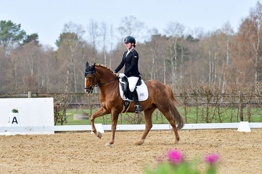 Reitsportzentrum Bremervörde | 10421 Dressur L Tr_381 