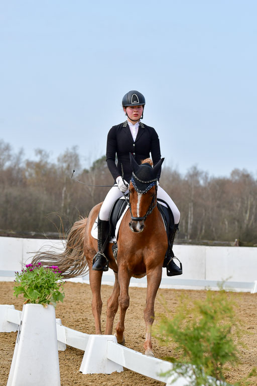 Reitsportzentrum Bremervörde | 10421 Dressur L Tr_382 