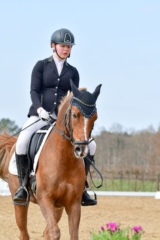 Reitsportzentrum Bremervörde | 10421 Dressur L Tr_383 