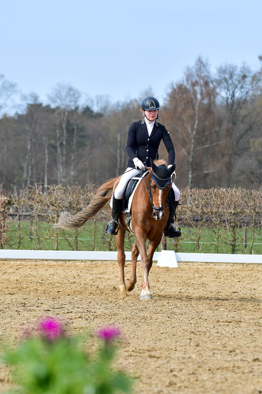 Reitsportzentrum Bremervörde | 10421 Dressur L Tr_387 