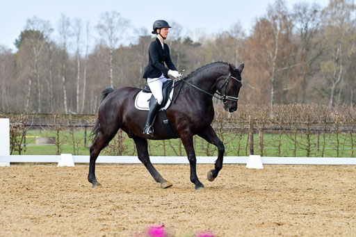 Reitsportzentrum Bremervörde | 10421 Dressur L Tr_390 