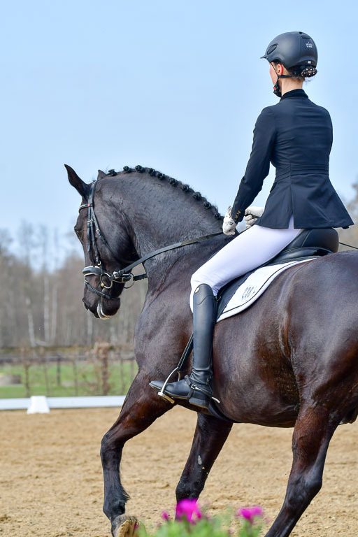 Reitsportzentrum Bremervörde | 10421 Dressur L Tr_392 
